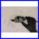 Boot LID Lock For Land Rover Discovery (09-16) 4a Serie 2.7 Tdv6 (140kw) 2009